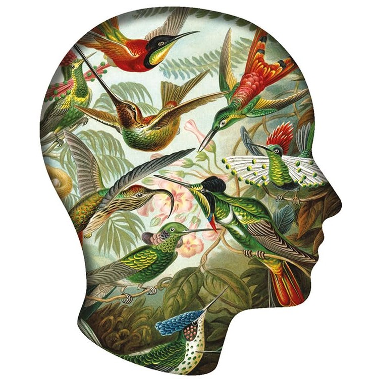 Ilustrasi neurodiversity